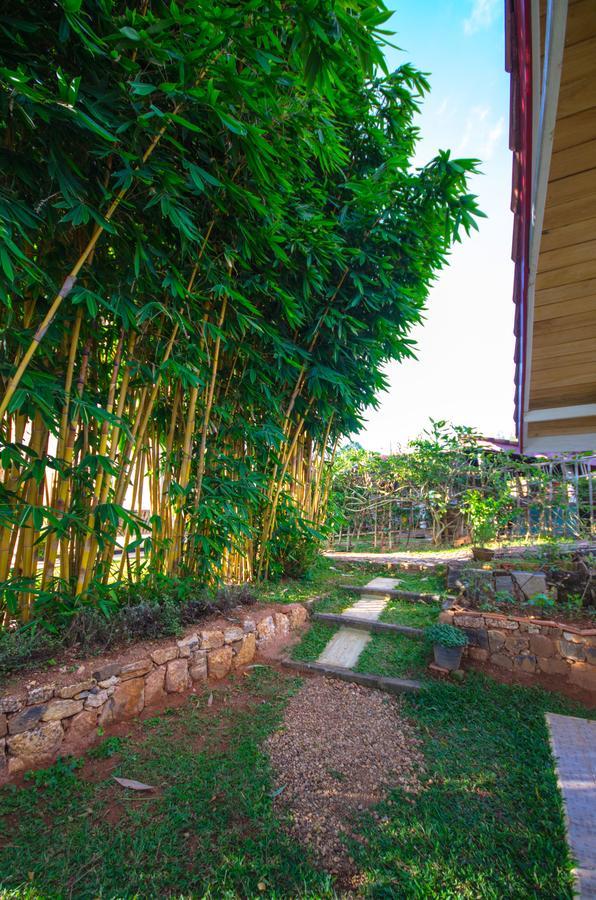 Summit View Bed and Breakfast Kandy Exterior foto