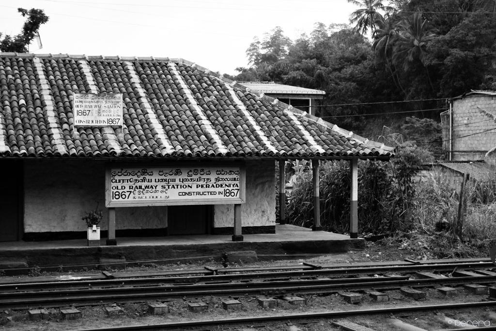 Summit View Bed and Breakfast Kandy Exterior foto