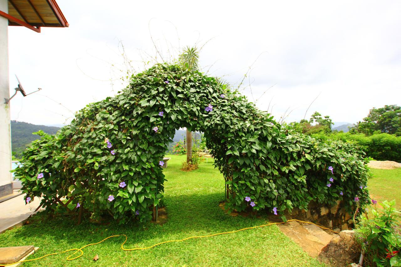 Summit View Bed and Breakfast Kandy Exterior foto
